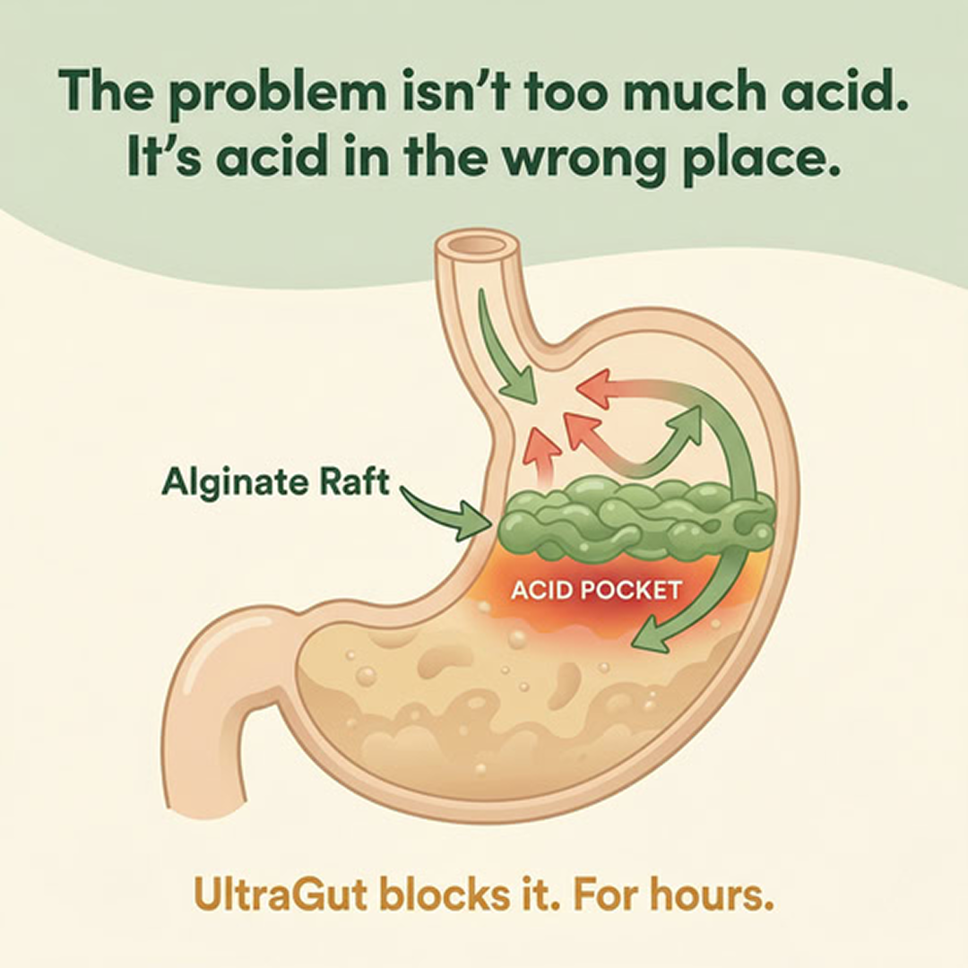 VIVI UltraGut™